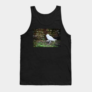 snow owl 2 / Swiss Artwork Photography Tank Top